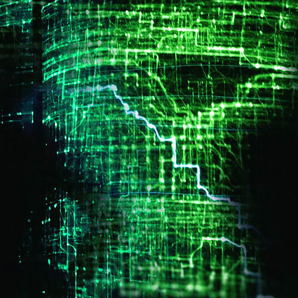 PHILIP_und_JAN_square