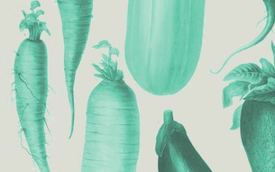 How to build an Instrument out of Vegetables