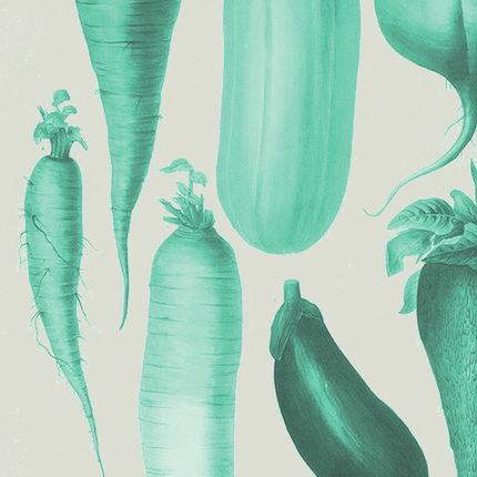 VegtableOrchestra_square